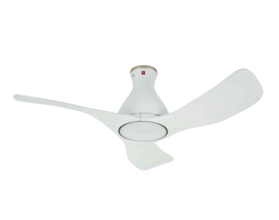 intflo_Ceiling Fan